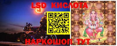 индика Лесосибирск