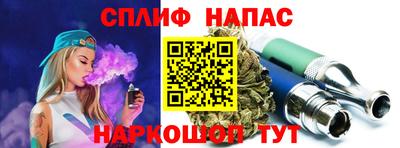 индика Лесосибирск
