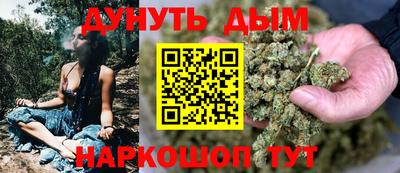 индика Лесосибирск