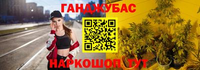 индика Лесосибирск