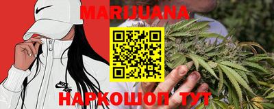 индика Лесосибирск